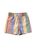 Salted Stories Multi Stripe | Swim Shorts | Multicolor
