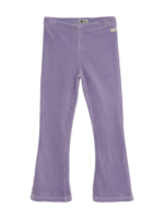 Daily 7 Flared Velvet Pants | Purple