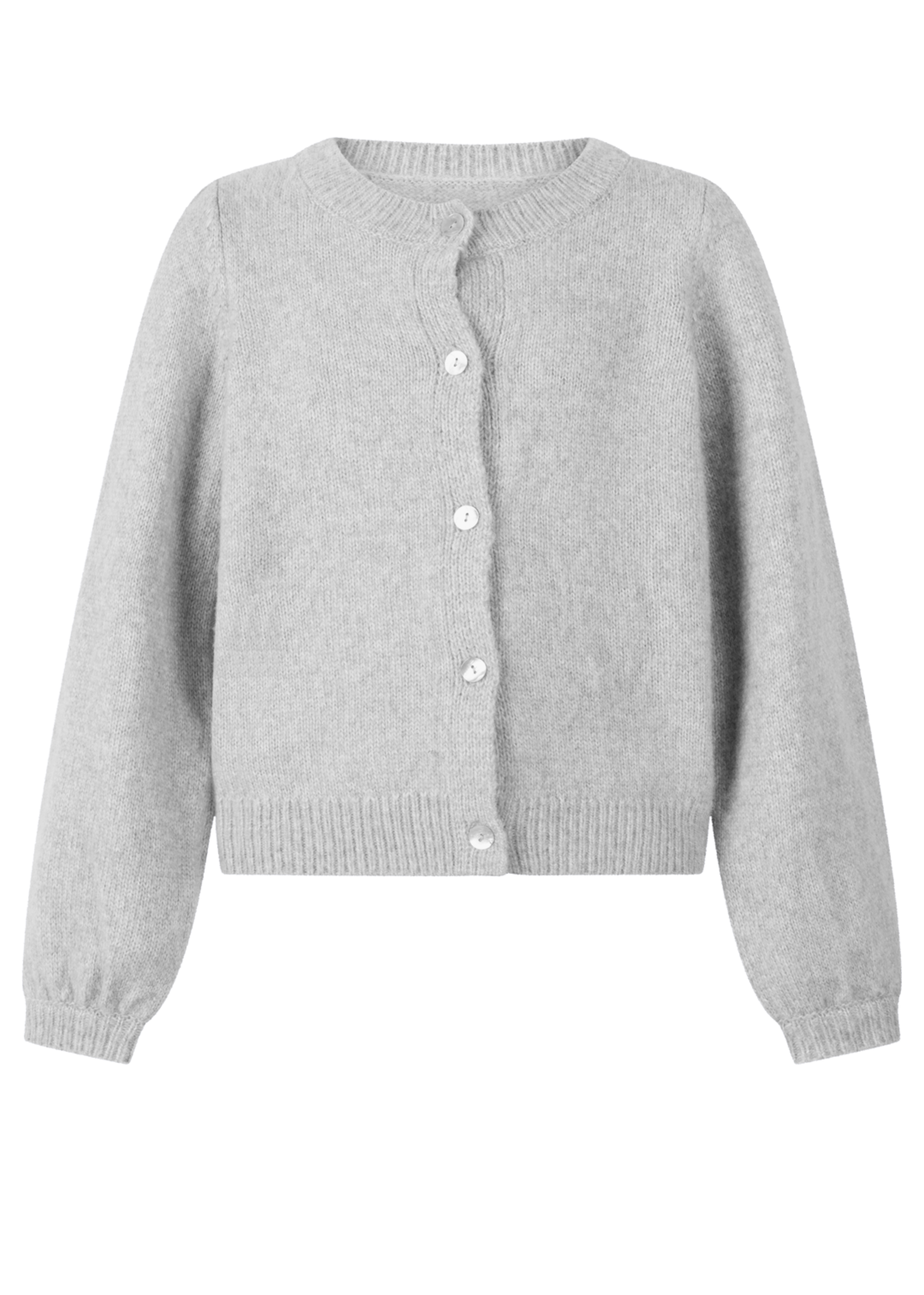 AI&KO Jady pes | Nickle Grey