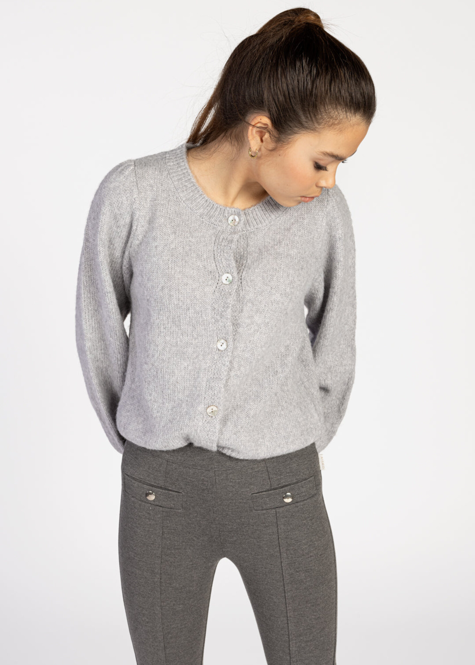 AI&KO Jady pes | Nickle Grey