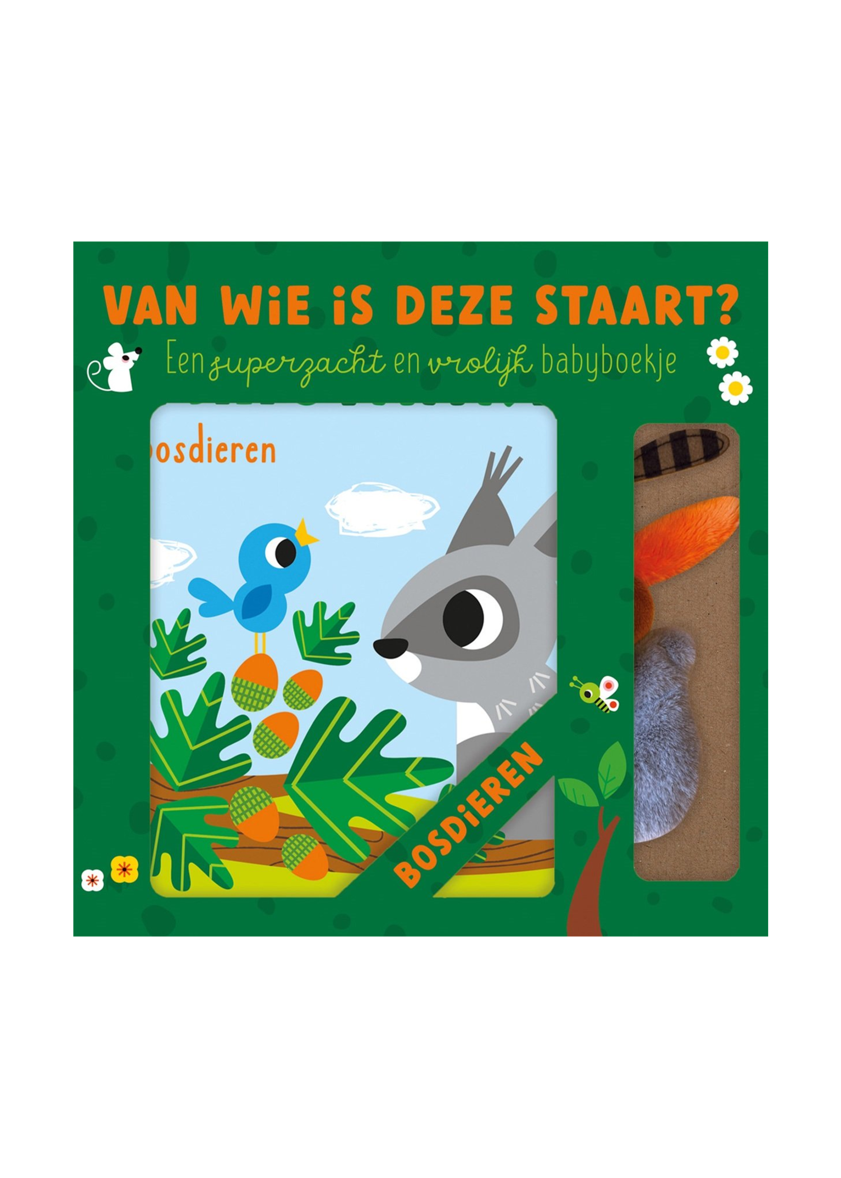 Lantaarn Van wie is deze staart? | Bosdieren