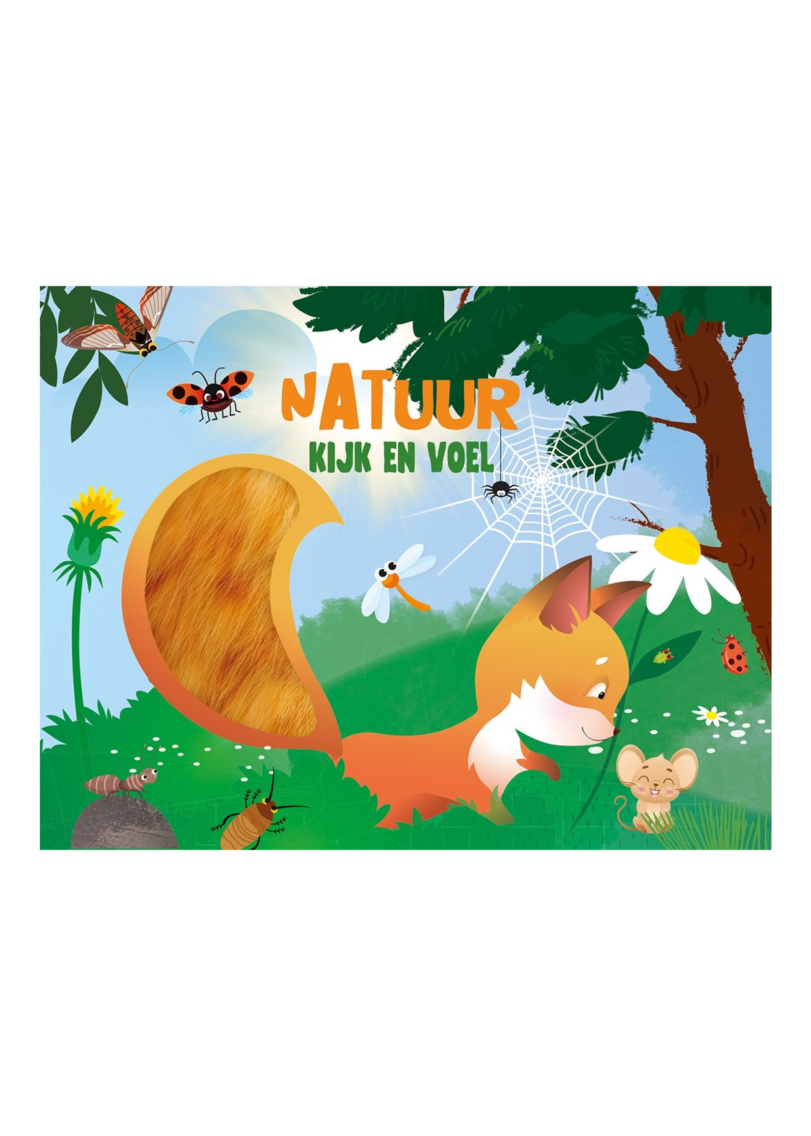 Lantaarn Kijk en voel | Natuur