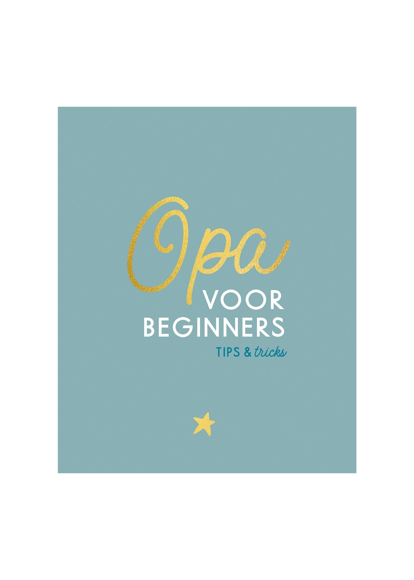 Lantaarn Opa voor beginners
