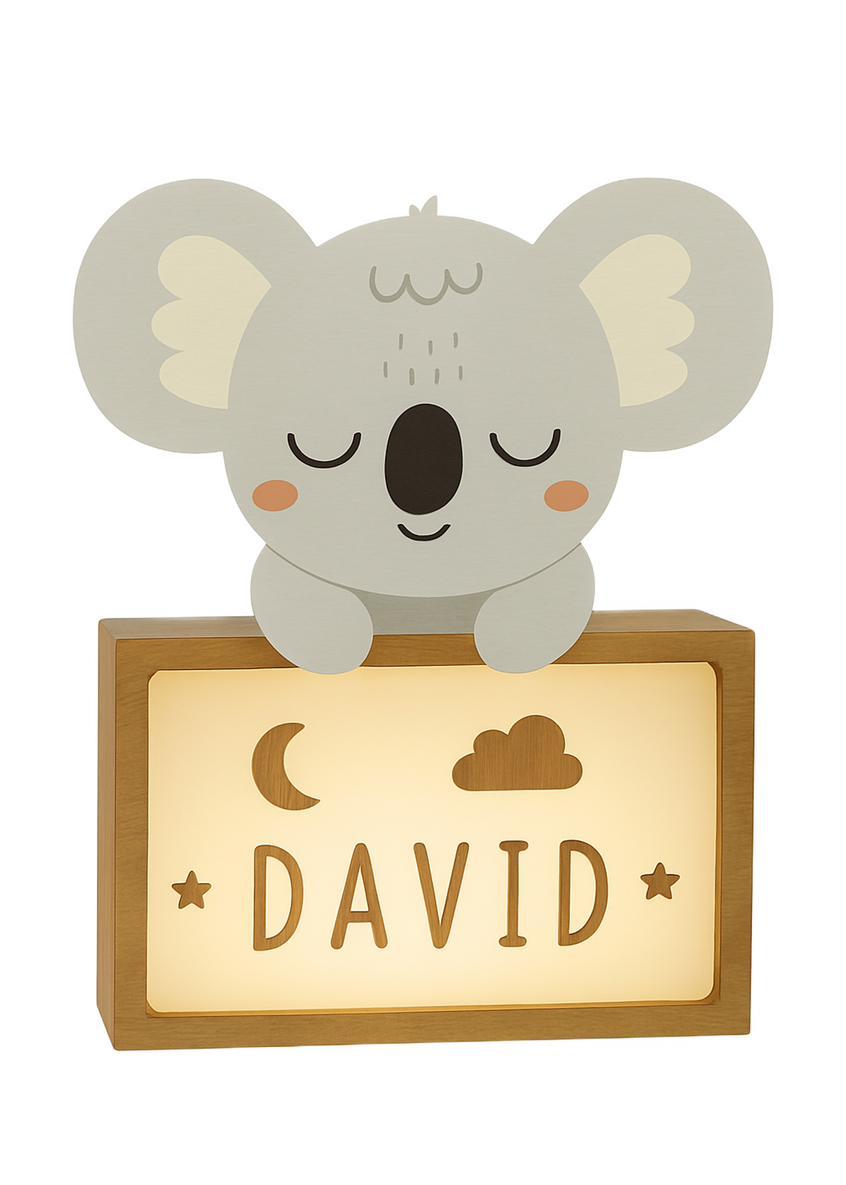 Vintiun Naam lampje S | Koala
