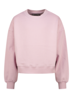 Raizzed Sifra Winsome Orchid