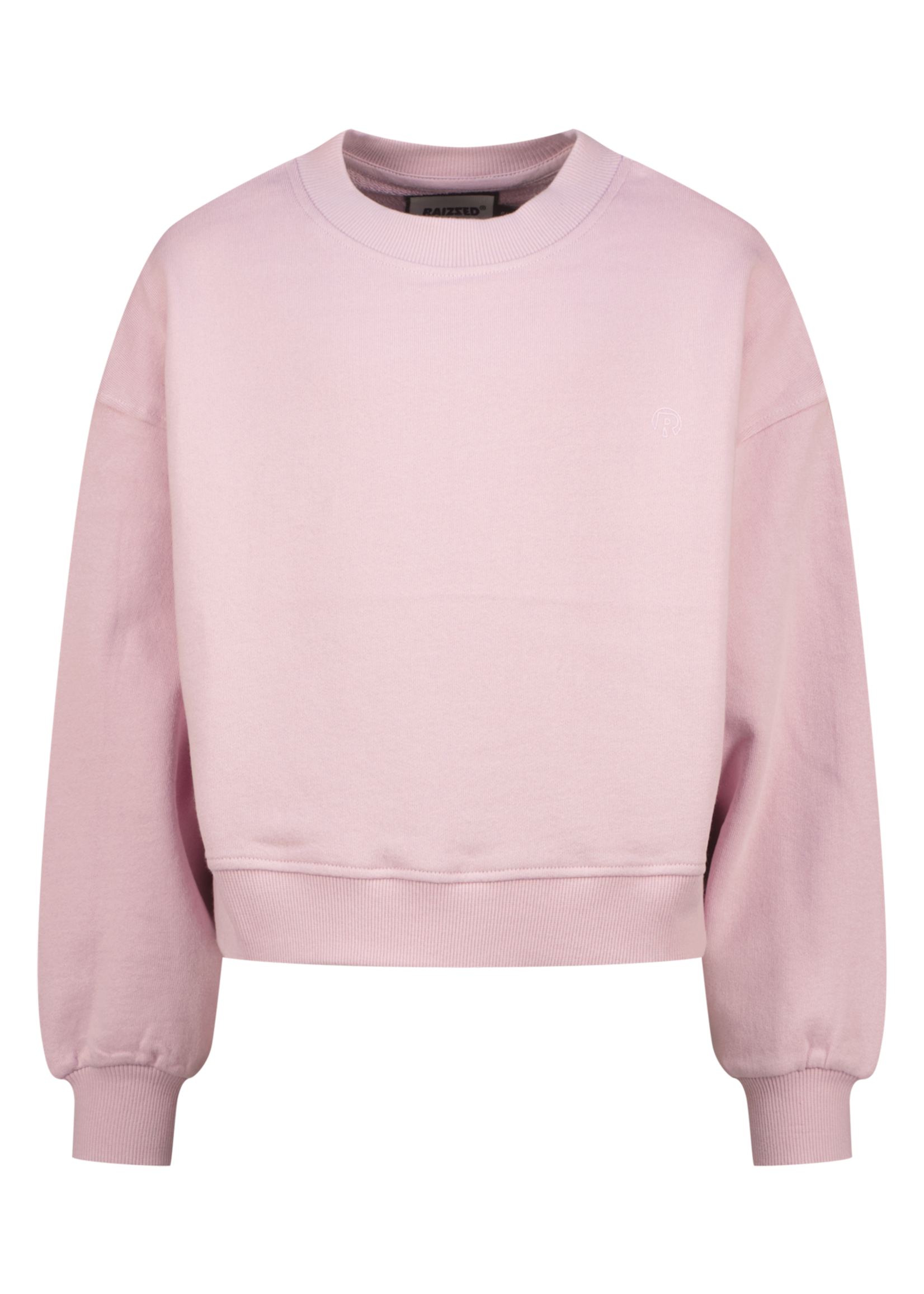 Raizzed Sifra Winsome Orchid