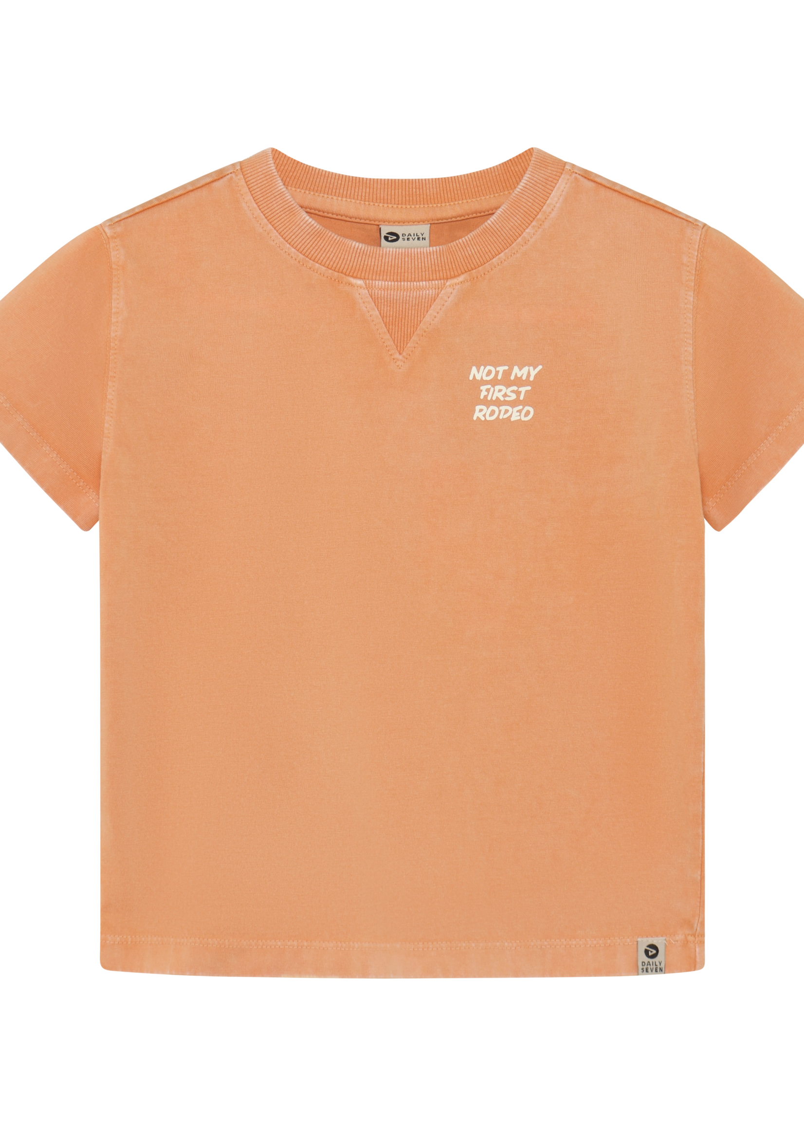 Daily 7 T-shirt Backprint Sandstone