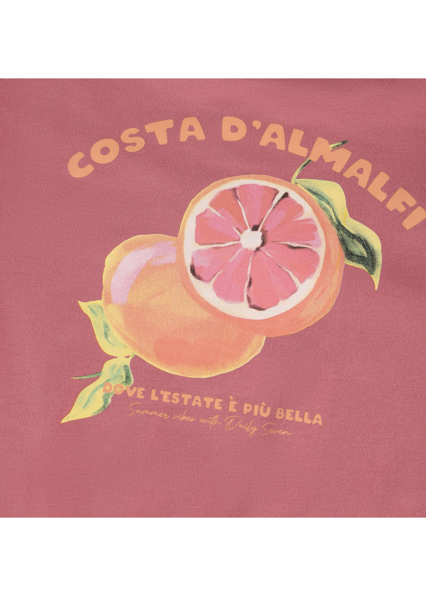 Daily 7 T-shirt Backprint Heather Rose