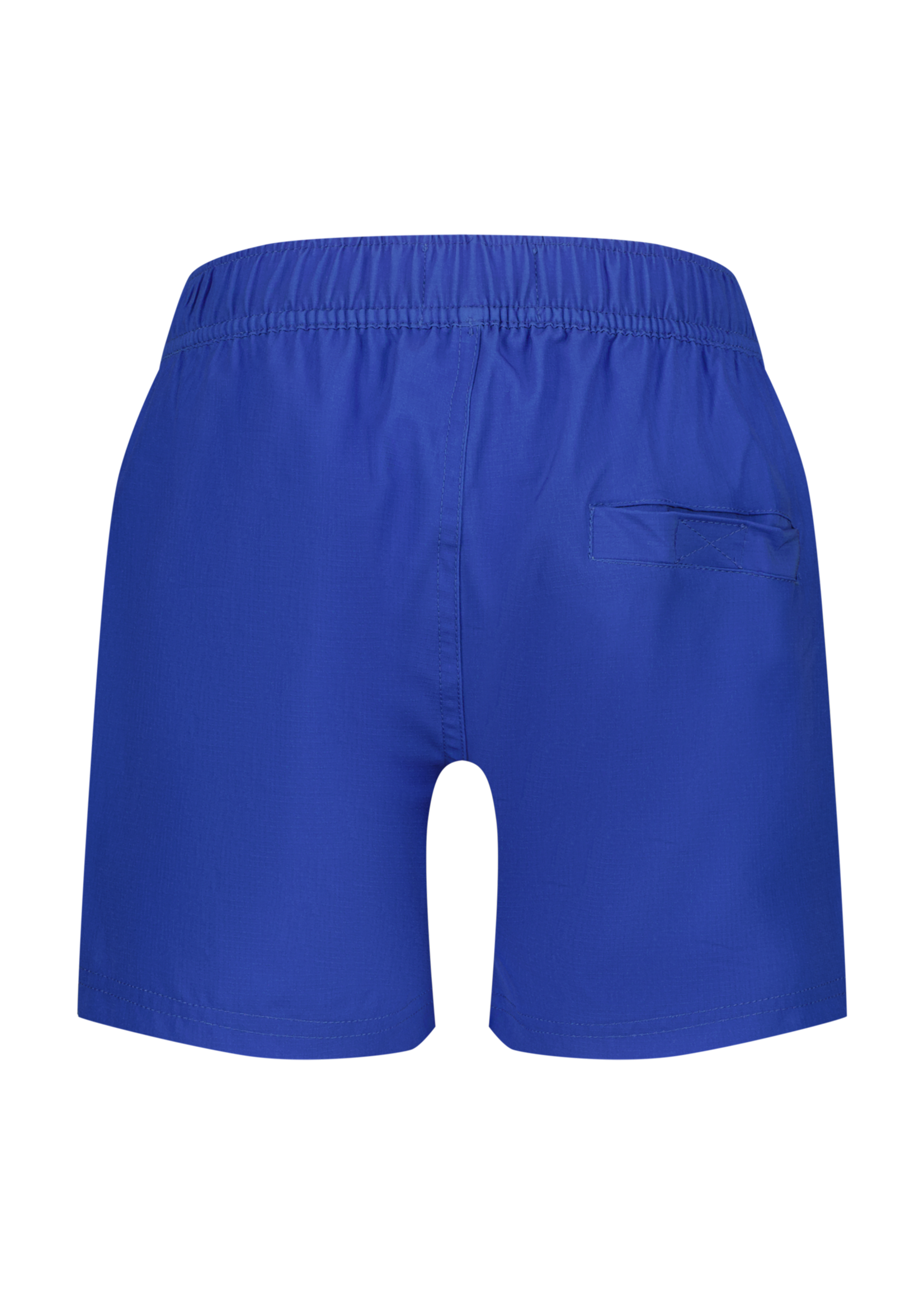 Raizzed Roha Pal blue