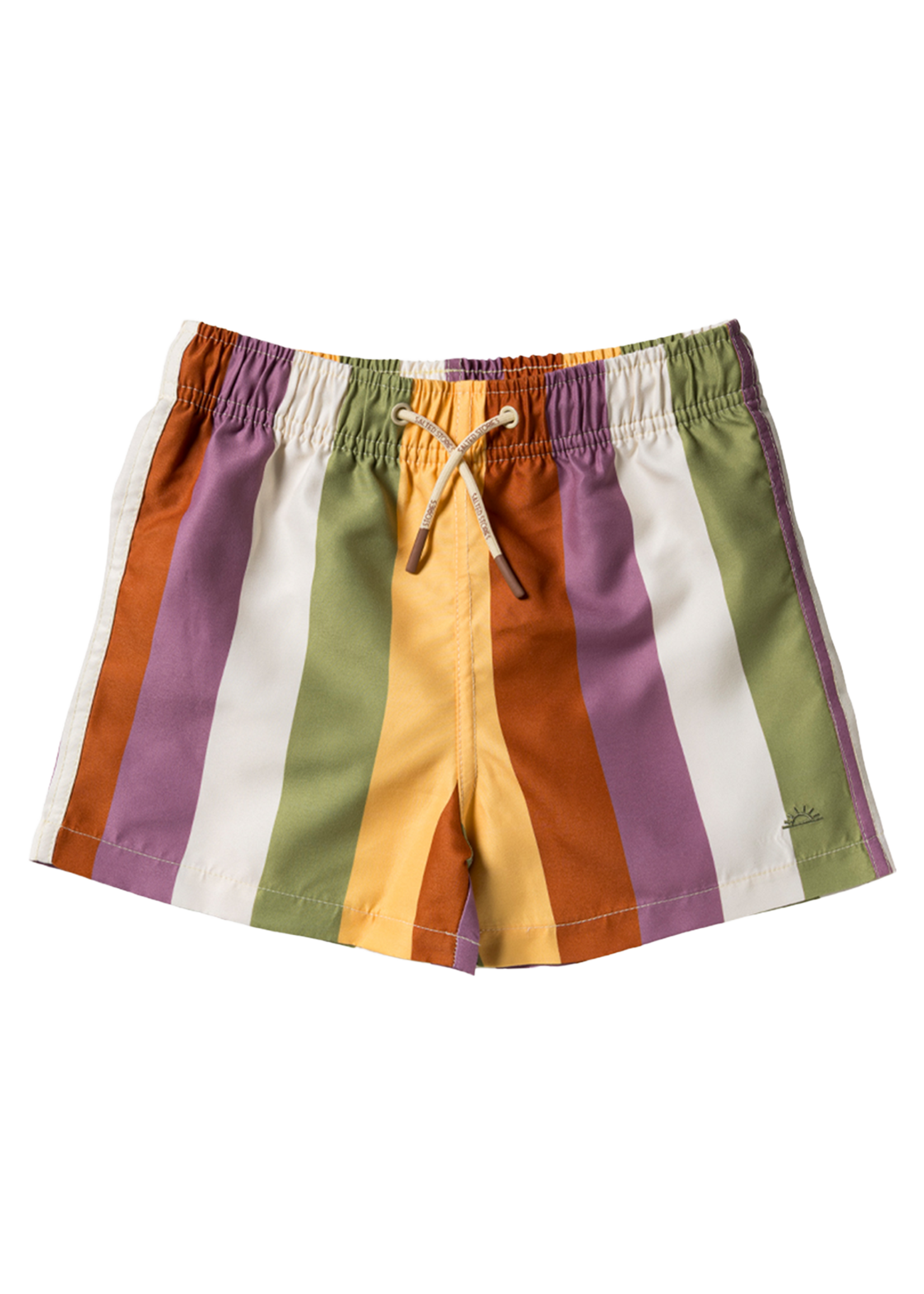Salted Stories Multi Stripe | Swim Shorts Multicolor