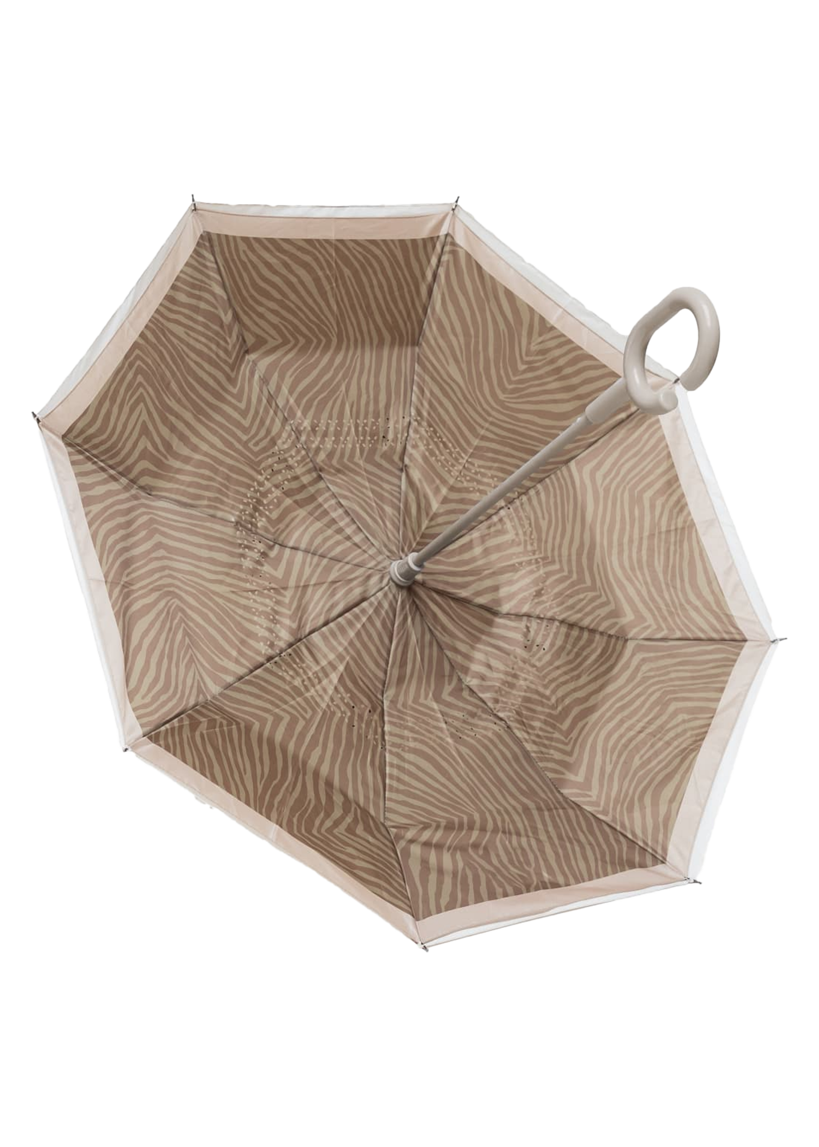 Mrs Ertha New Brellie's Zebra