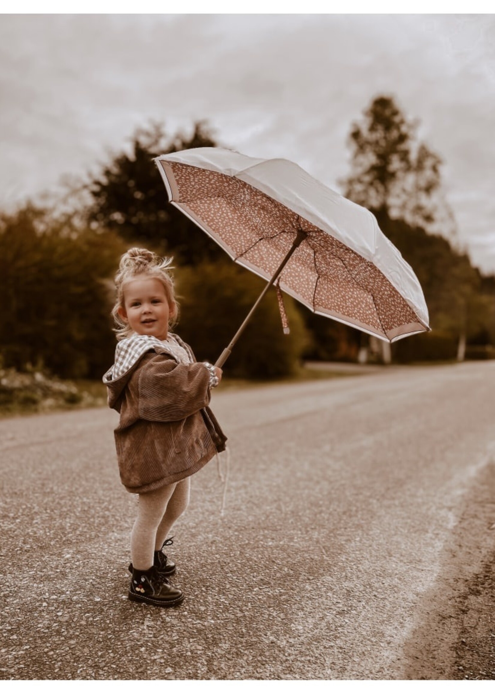 Mrs Ertha New Brellie's Little Daisys