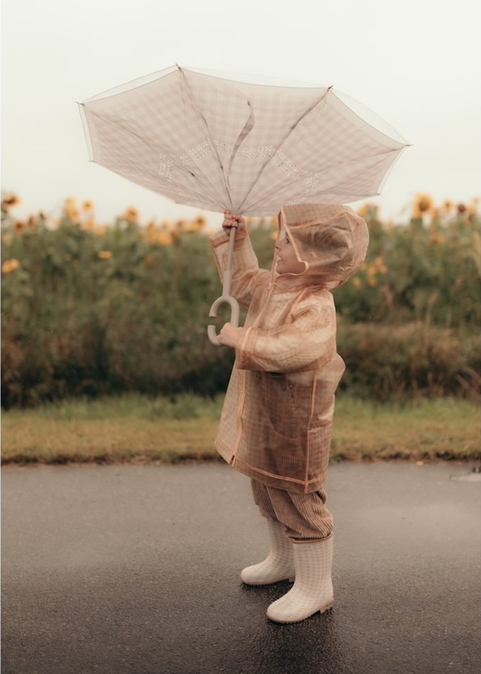 Mrs Ertha New Brellie's Little Daisys