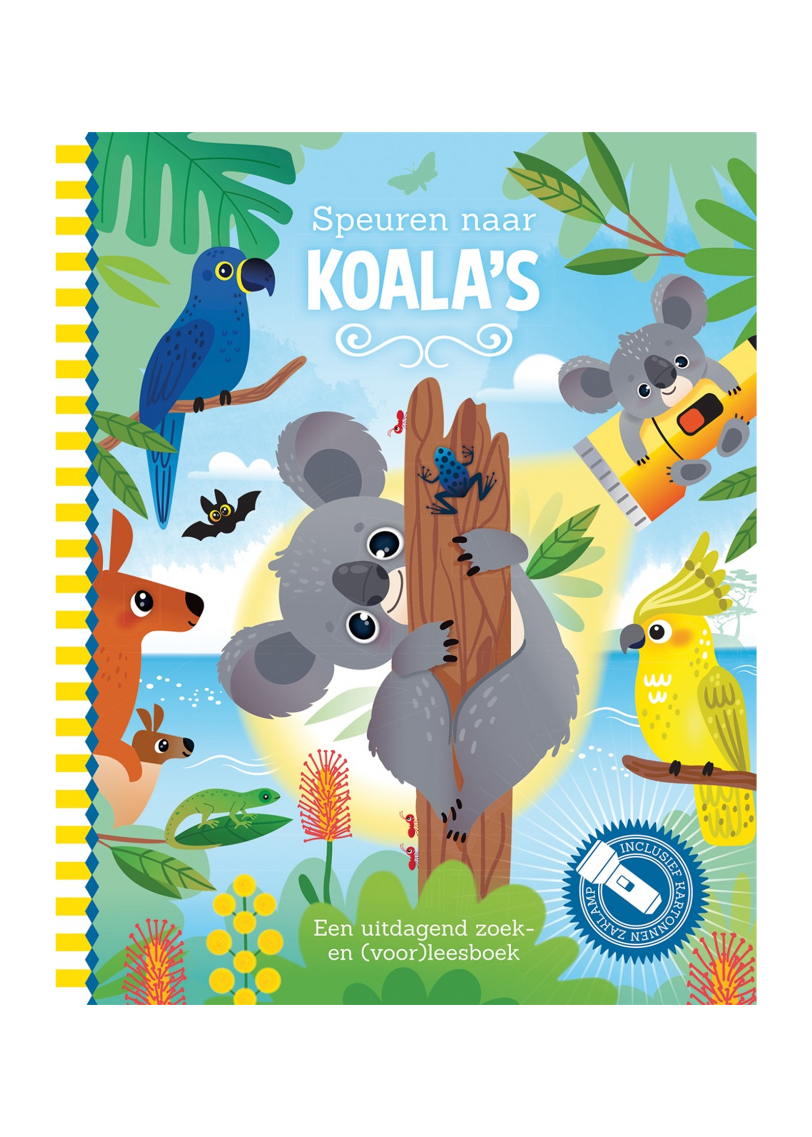 Lantaarn Speuren naar koala’s