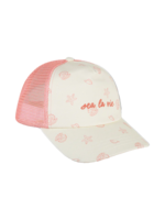 Cap | Shell Tastic