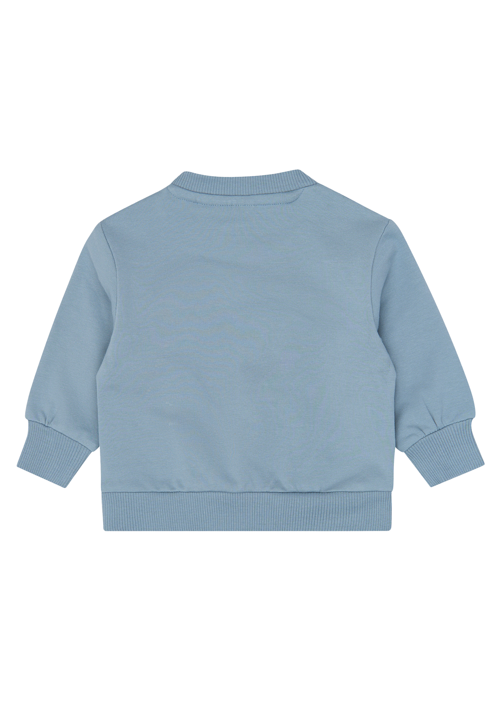 Varren Sweatshirt | Ashley blue
