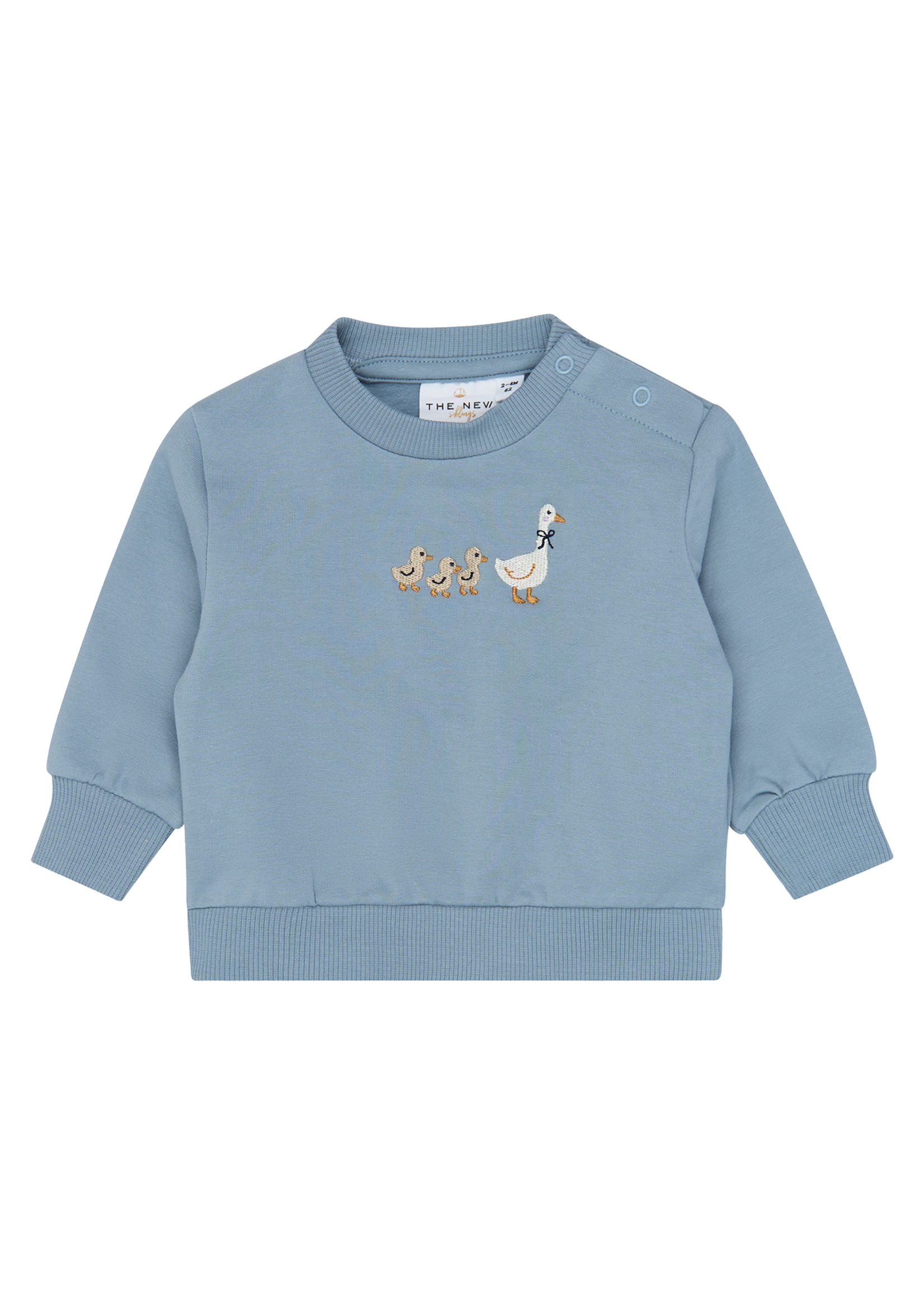 Varren Sweatshirt | Ashley blue