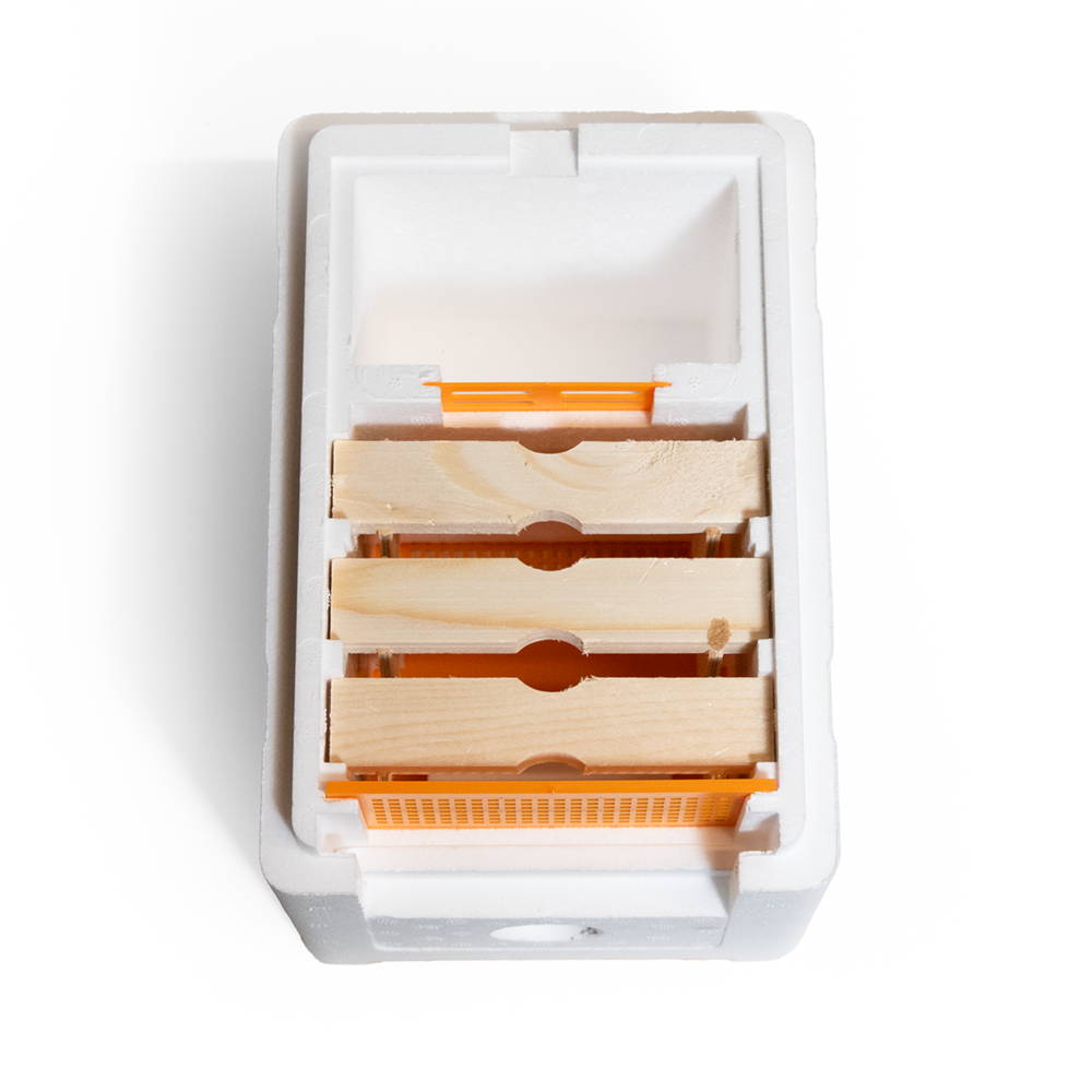 Swienty Swi-Bine bevruchtingskastje Swienty Swi-Bine bevruchtingskastje