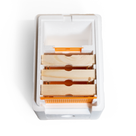 Swienty Swi-Bine bevruchtingskastje Swienty Swi-Bine bevruchtingskastje