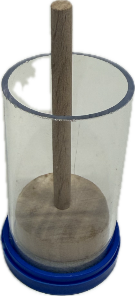 Merkkooitje hoornaar