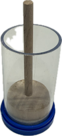 Merkkooitje hoornaar