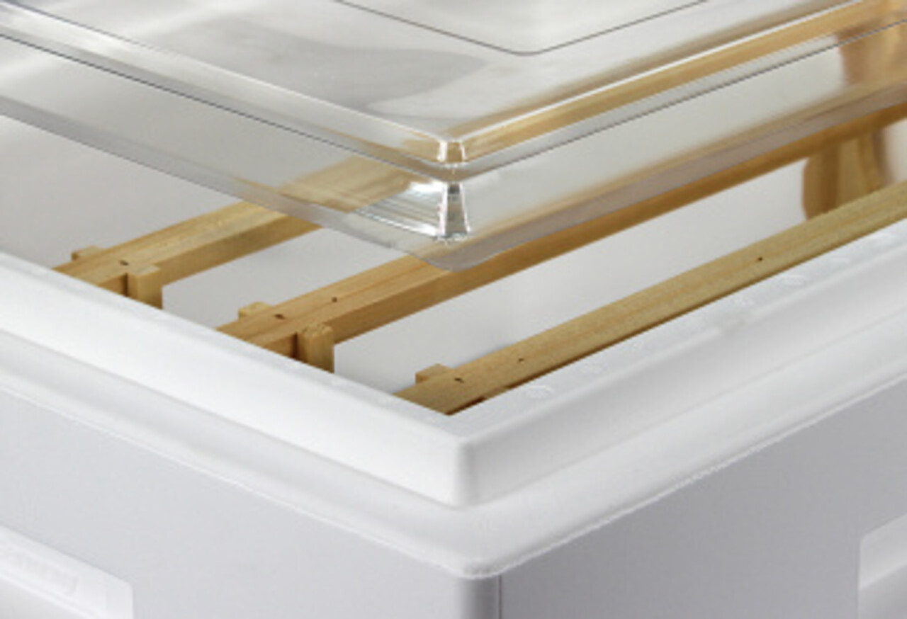 Segeberger dekplank doorzichtig