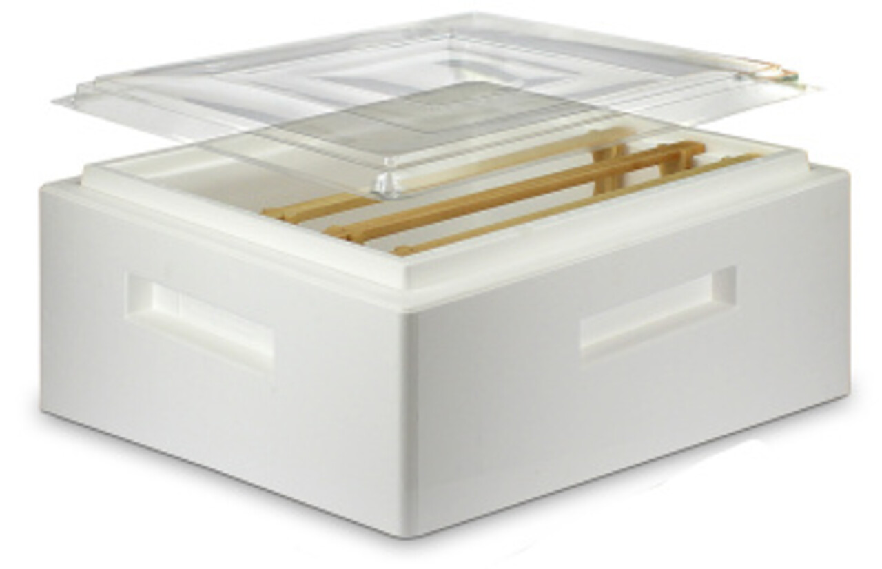 Segeberger dekplank doorzichtig