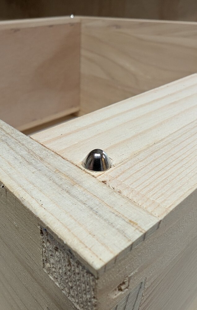 Afstands doppen 5mm 100 stuks Afstands doppen 5mm 100 stuks