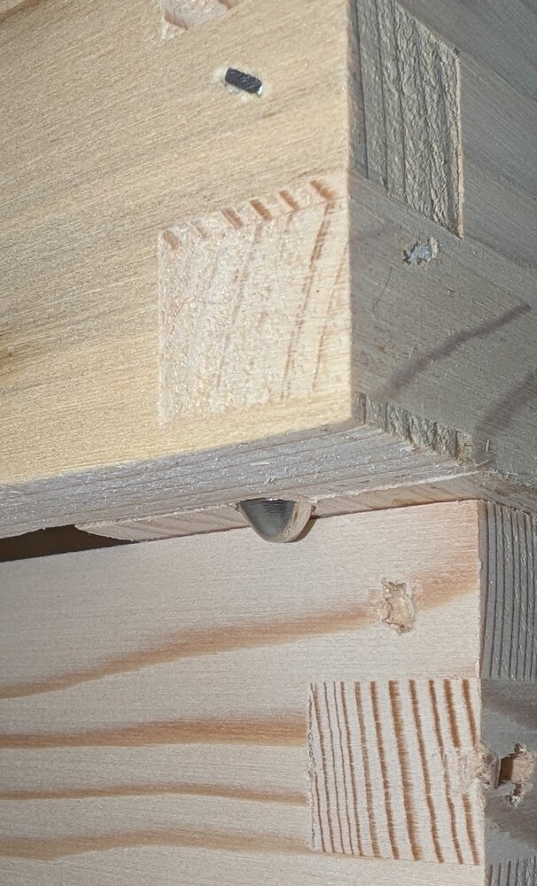 Afstands doppen 5mm 100 stuks Afstands doppen 5mm 100 stuks