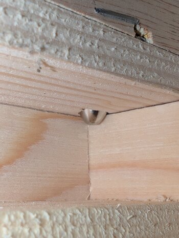 Afstands doppen 5mm 100 stuks Afstands doppen 5mm 100 stuks