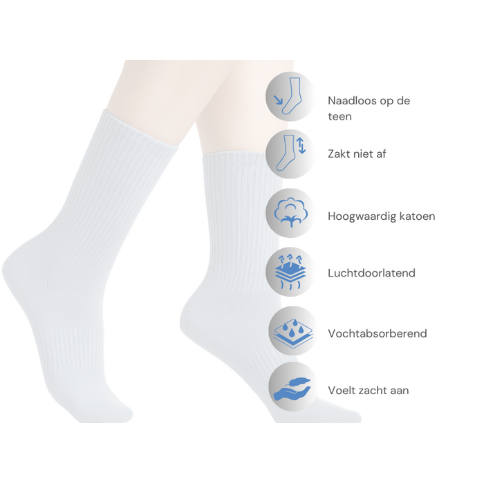 6 paar Katoenen damessokken Naadloze sokken Rood/Turquoise/Groen