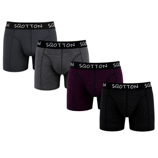 Heren Boxershorts 4-Pack Normale Lengte Classic Stripes