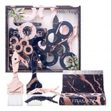 Framar Framar Holi-Yay Colourist Kit