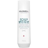 Goldwell Goldwell Dual Senses Scalp Specialist Anti Dandruff Shampoo