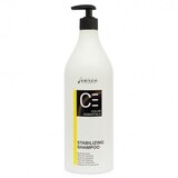 Carin Carin Stabilizing Shampoo 950 ml