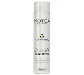 Carin Carin Botéa Shampoo Repair & Moisture 250 ml
