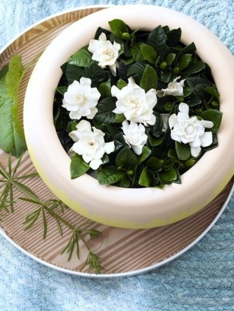 muk Haircare Deep Muk ultra soft conditioner 300 ml muk Haircare Deep Muk ultra soft conditioner 300 ml