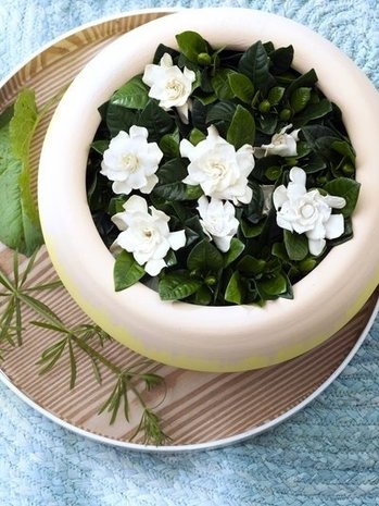 muk Haircare Deep Muk ultra soft conditioner 300 ml muk Haircare Deep Muk ultra soft conditioner 300 ml