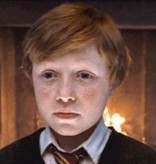 Harry Potter - Nigel ’s Wand