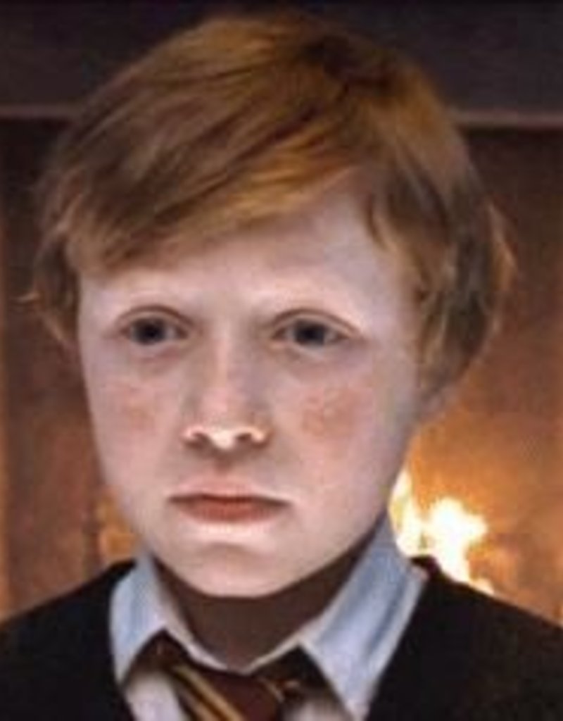 Harry Potter - Nigel ’s Wand