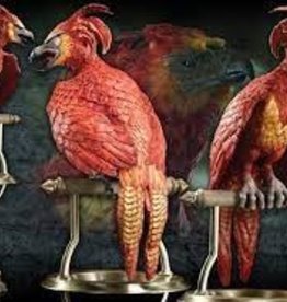 Harry Potter Fawkes the Phoenix