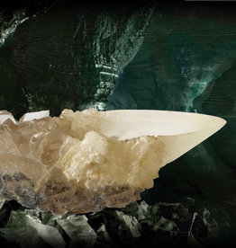 Harry Potter The Crystal Goblet