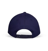 The Witcher Cap