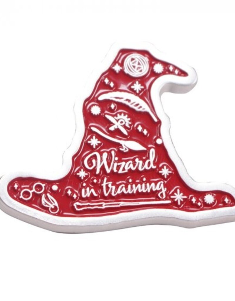 Harry Potter - Wizard in Training Pin