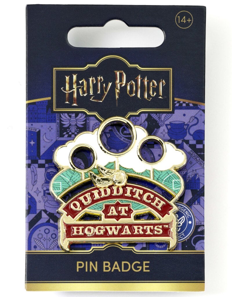 Harry Potter - Quidditch Pin