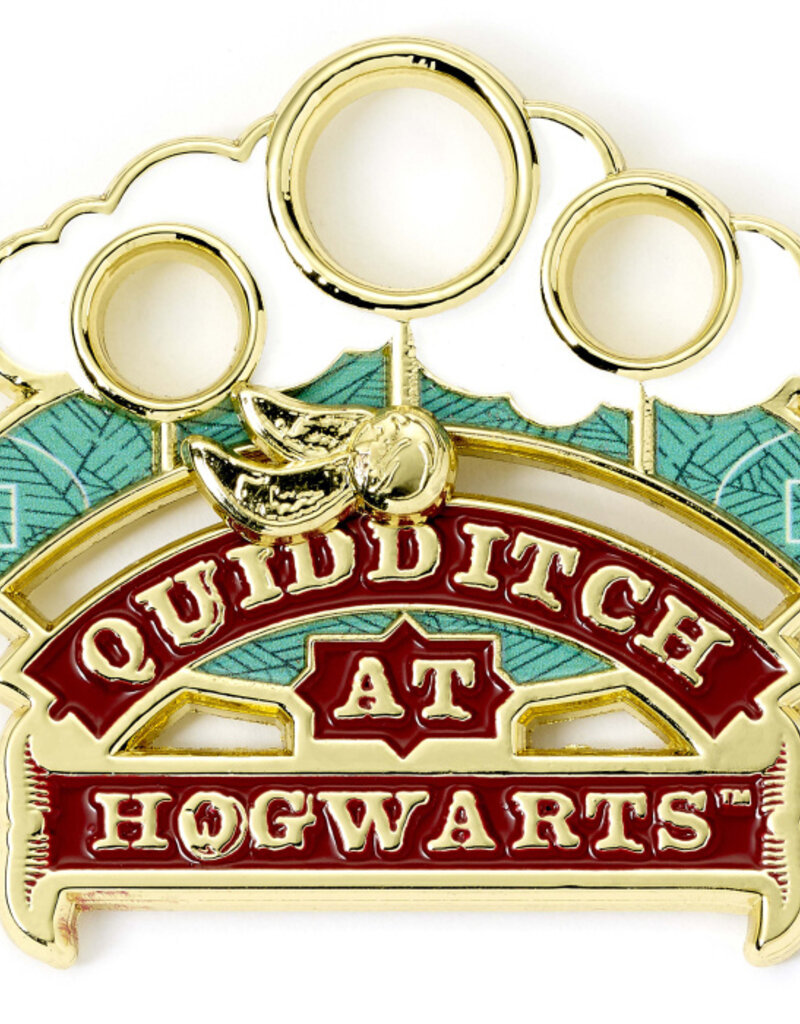 Harry Potter - Quidditch Pin