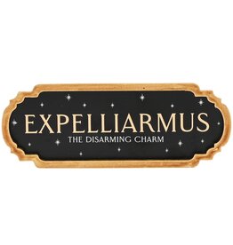 Harry Potter Mini Spell Plaque - Expelliarmus
