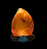 Jurassic Park Amber Lamp