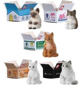 Cat in a Box Blind Bag