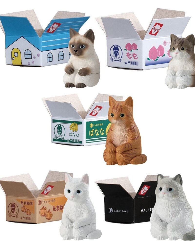 Cat in a Box Blind Bag